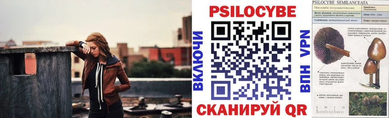 Купить закладки  Усмань  Галлюциногенные грибы Psilocybe 